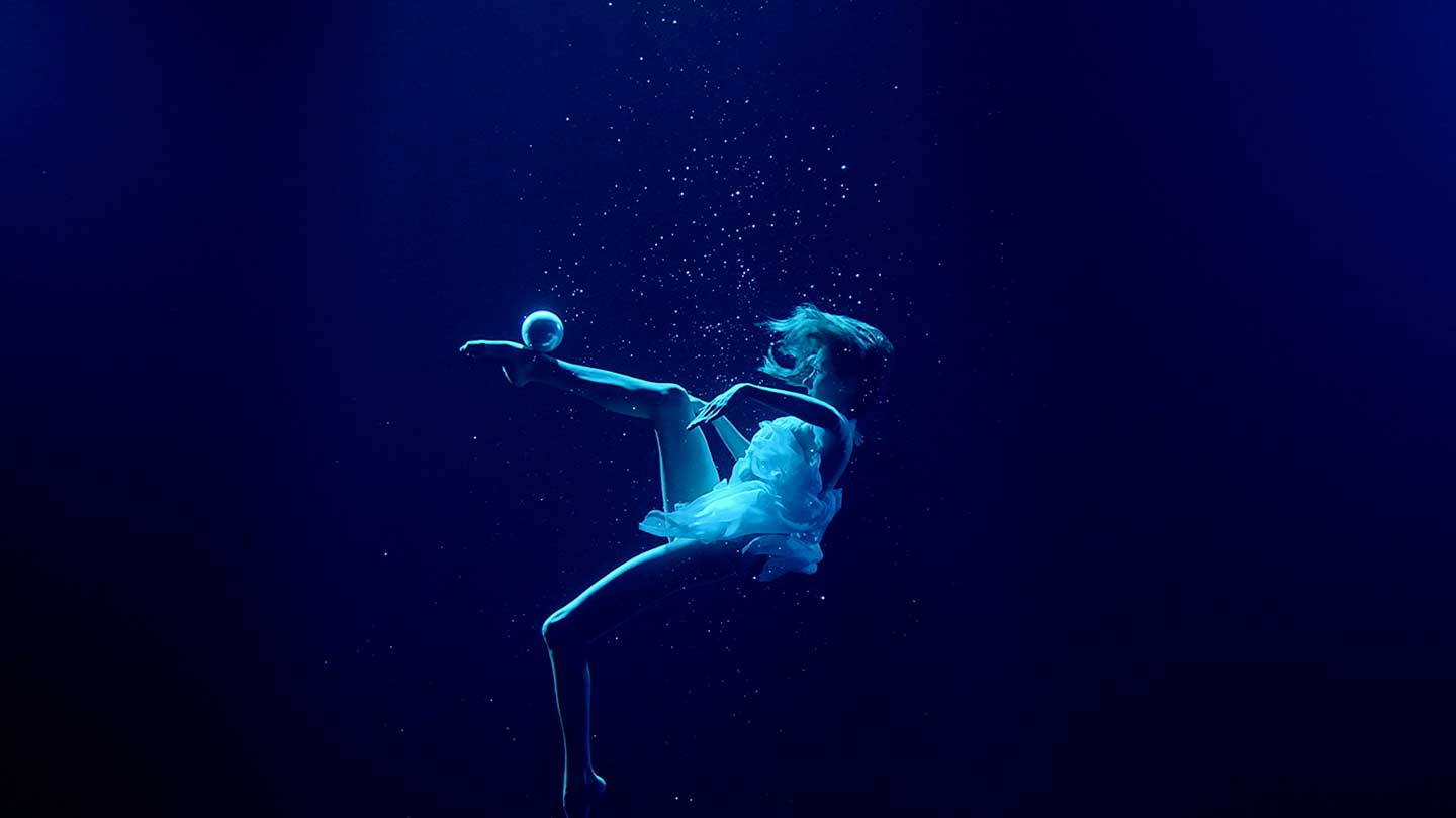 GILLETTE VENUS